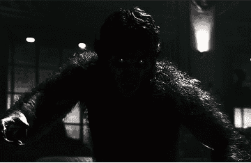 gif from the special