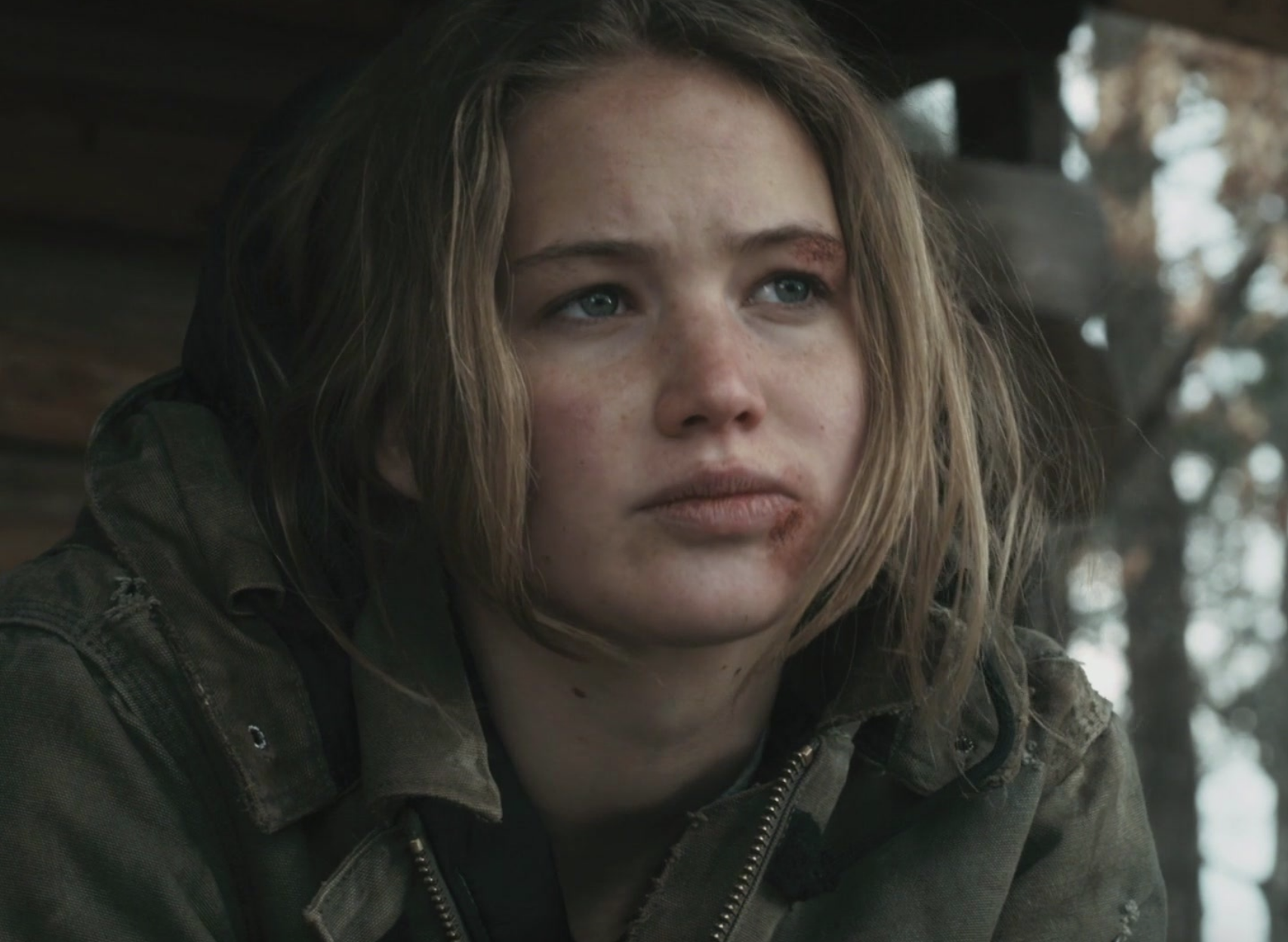 jennifer lawrence winters bone