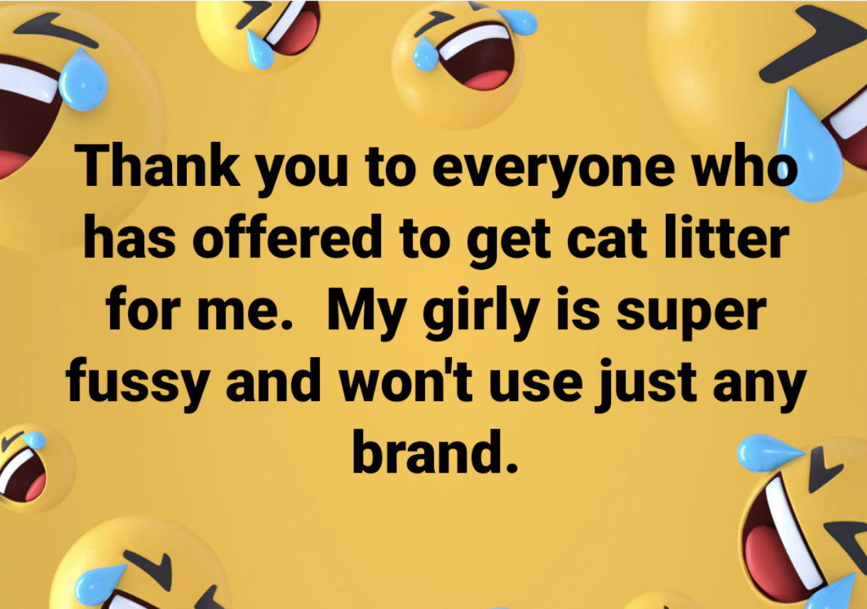 A Facebook post thanking people for offering to give them free cat litter, but the person&#x27;s cat is very picky and won&#x27;t use just any brand