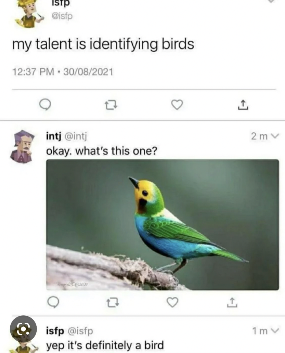 A person says their talent is identifying birds, someone responds with a picture of a bird asking what kind it is, and the original person says &quot;yep, it&#x27;s definitely a bird&quot;