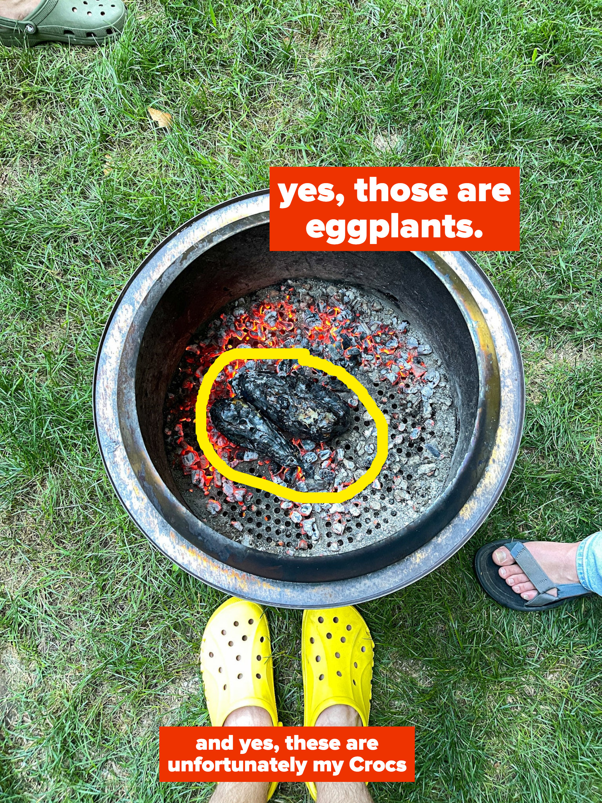eggplants on coals of a fire pit