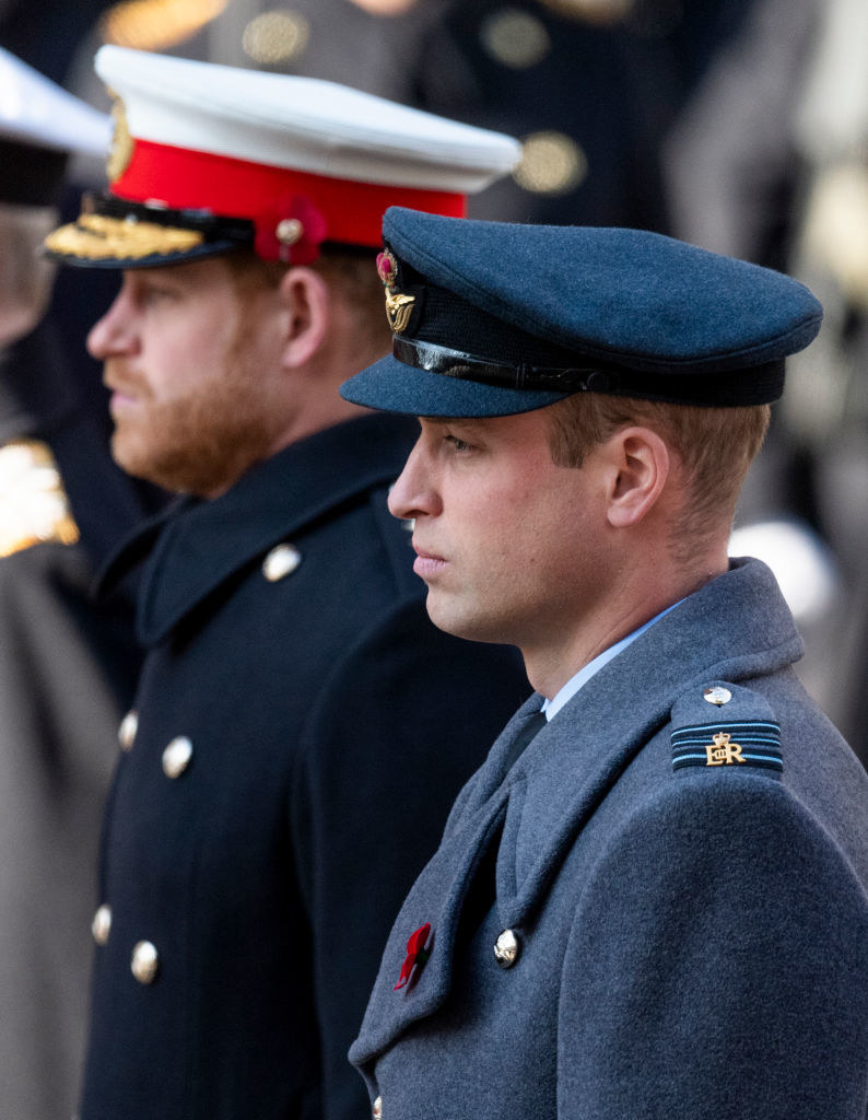 Profile view of Harry and William in uniform