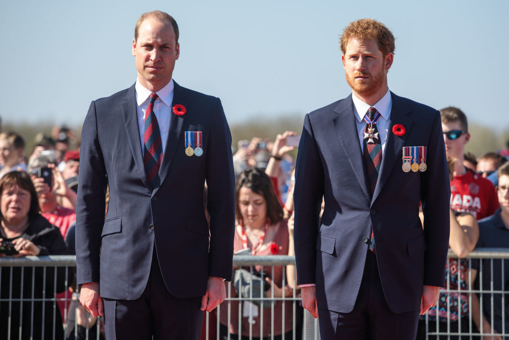 William and Harry standing together and wearing suits with medals