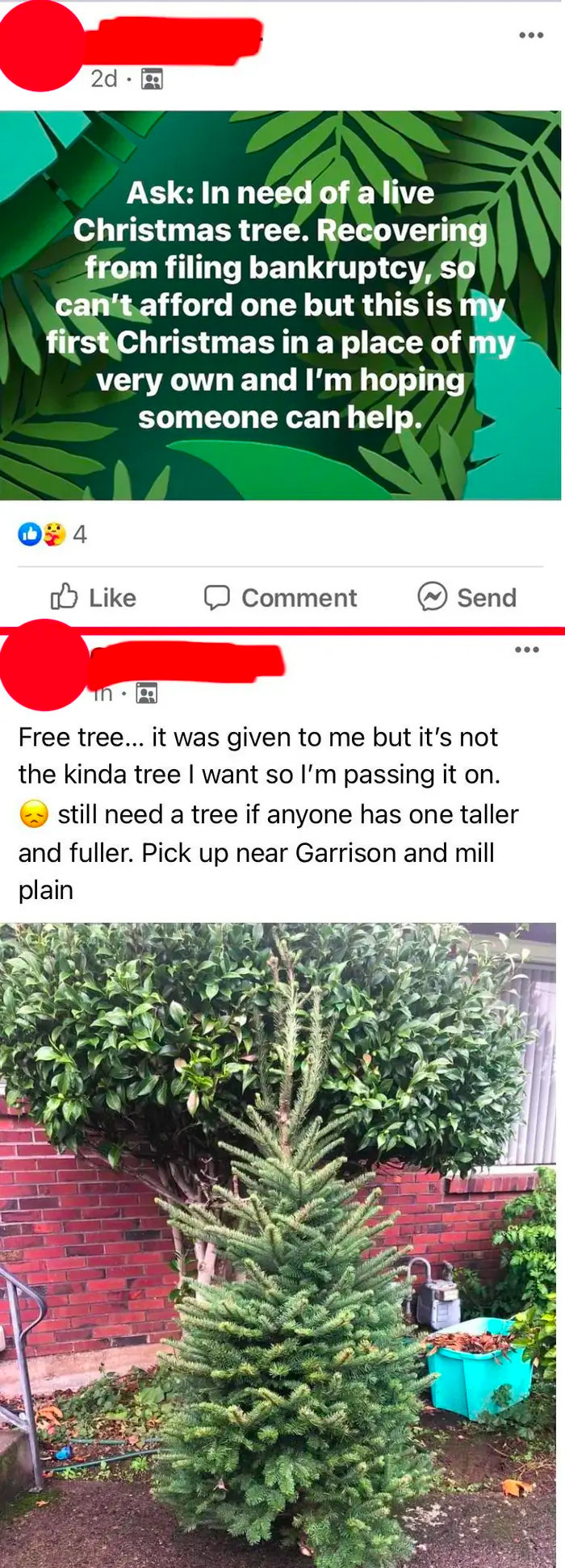 Person recovering from declaring bankruptcy asking on FB for a free tree but are giving away the one they got because it&#x27;s not tall or full enough