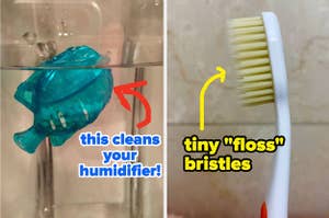 鱼形清洁剂“这清洁了您的加湿器！”，“小牙线'刷毛”牙刷牙刷