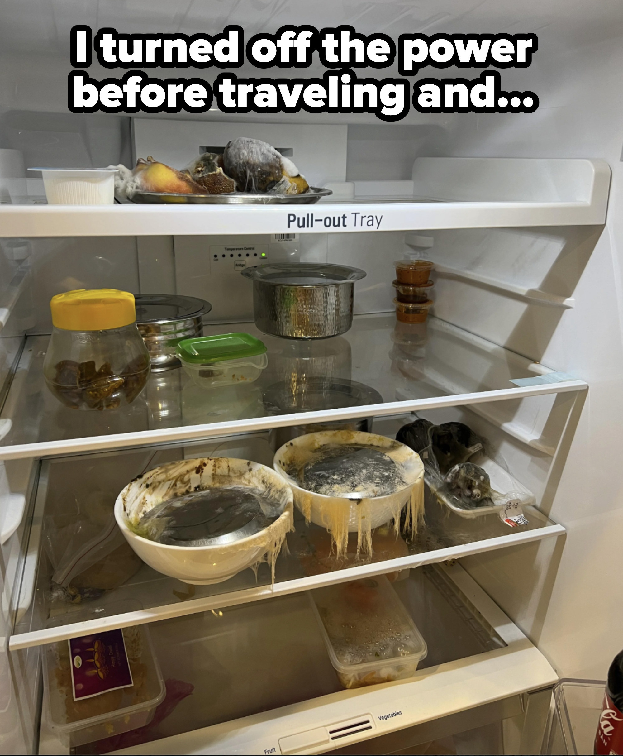 Moldy dishes in a fridge