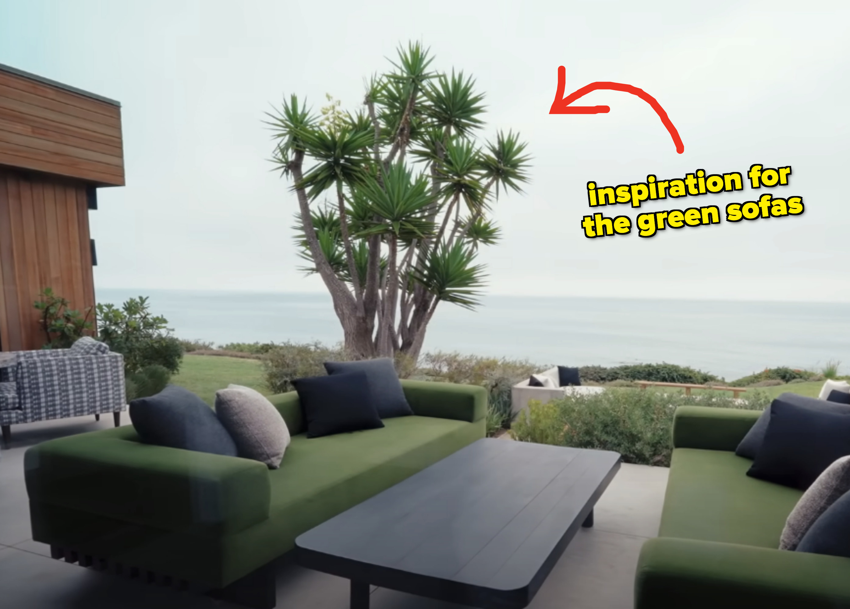 arrow pointing to green yucca tree that inspired the green midcentury sofas