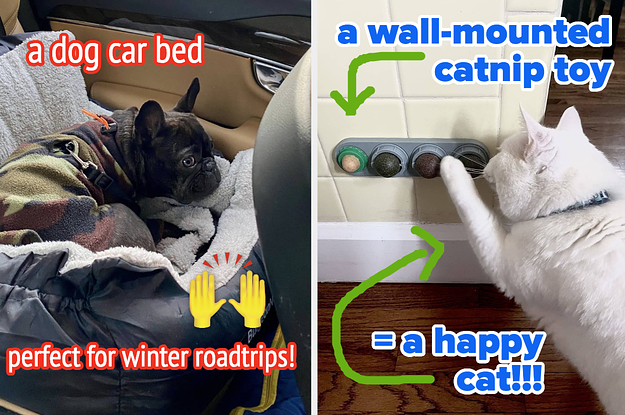 a dog car bed and a wall mounted catnip toy