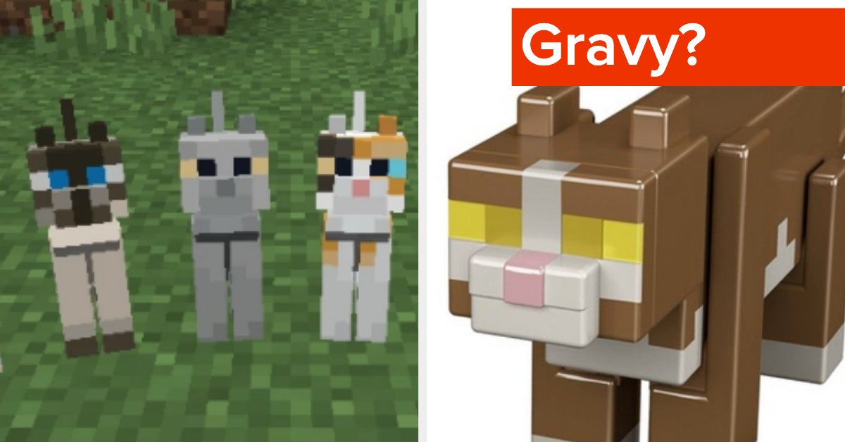 Minecraft Cats Name Quiz