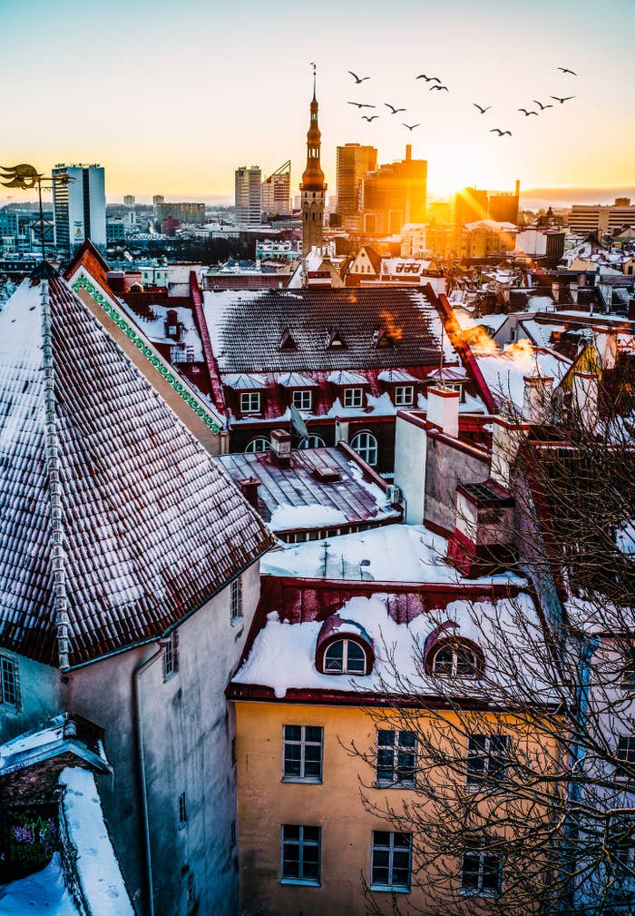 A snowy city view of Tallinn