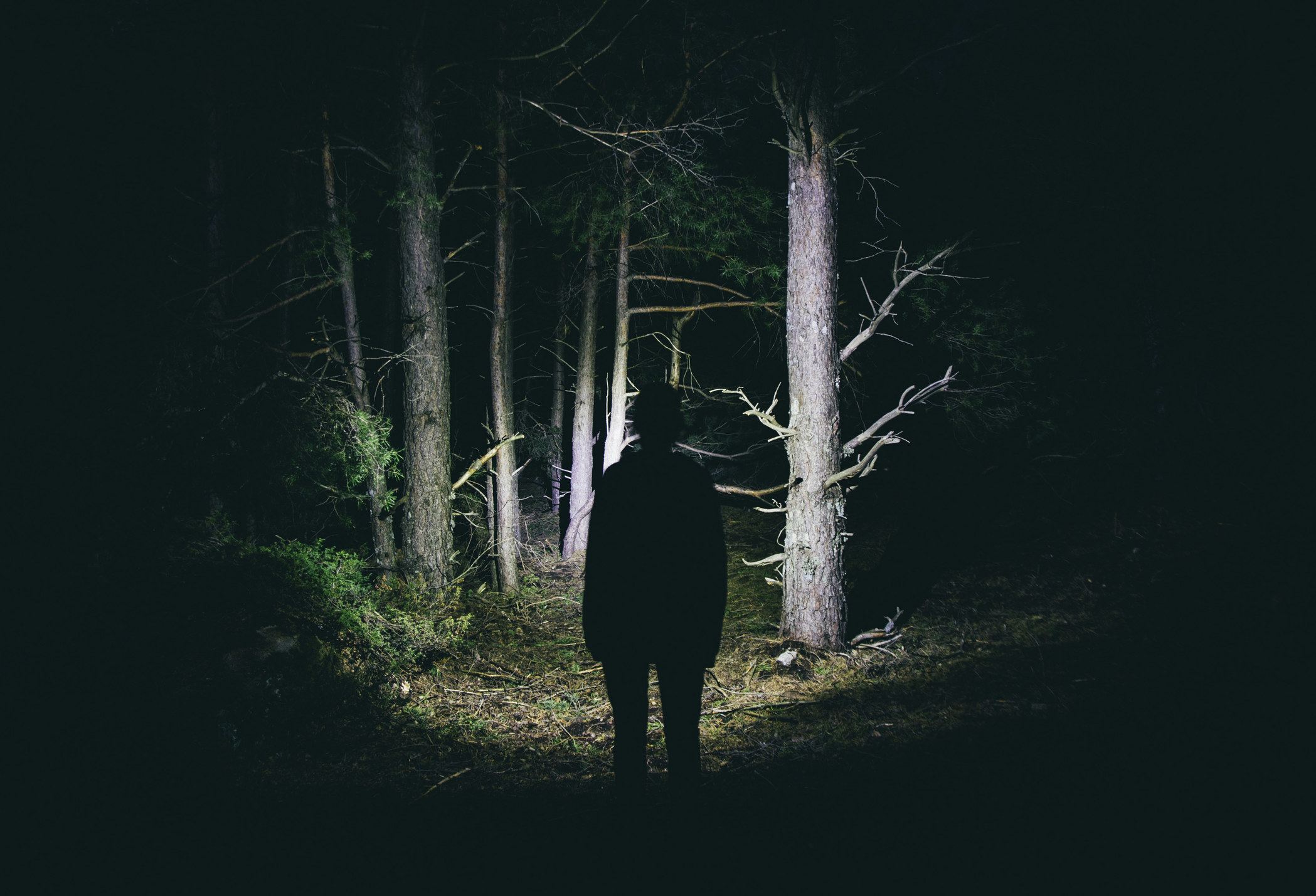 A person standing in the dark forest