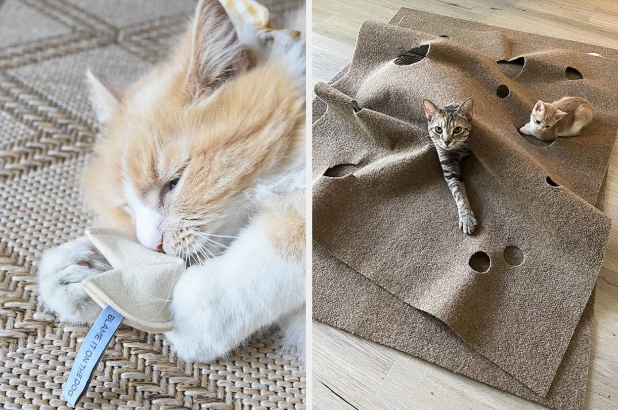 on left, cat playing with fortune cookie-shaped toy. on right, kitties in brown scratch pad rug