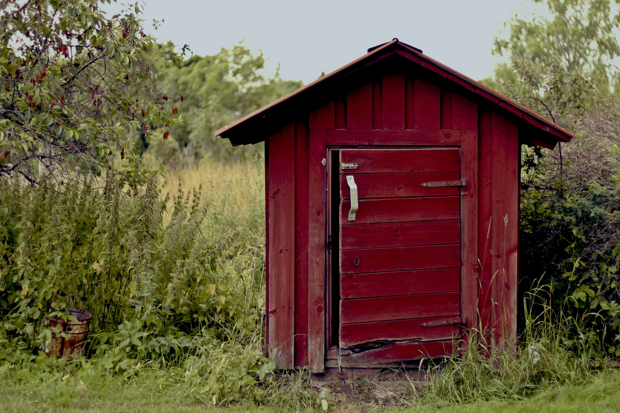 A red shack in the middle of a grassy area