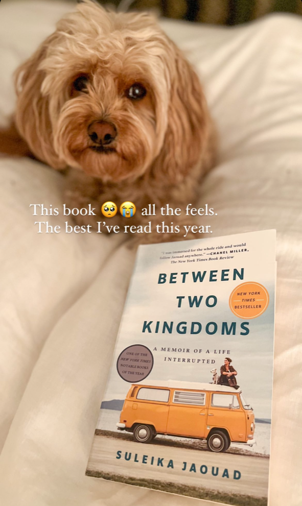 &quot;Between Two Kingdoms&quot; by Suleika Jaouad