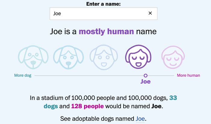 The &quot;more dog&quot; to &quot;more human&quot; scale for &quot;Joe&quot;: In a stadium of 100,000 people and 100,000 dogs, 33 dogs and 128 people would be named Joe