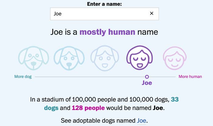 40 Dog Names That Could Be Human Names 40-dog-names-that-could-be-human-names