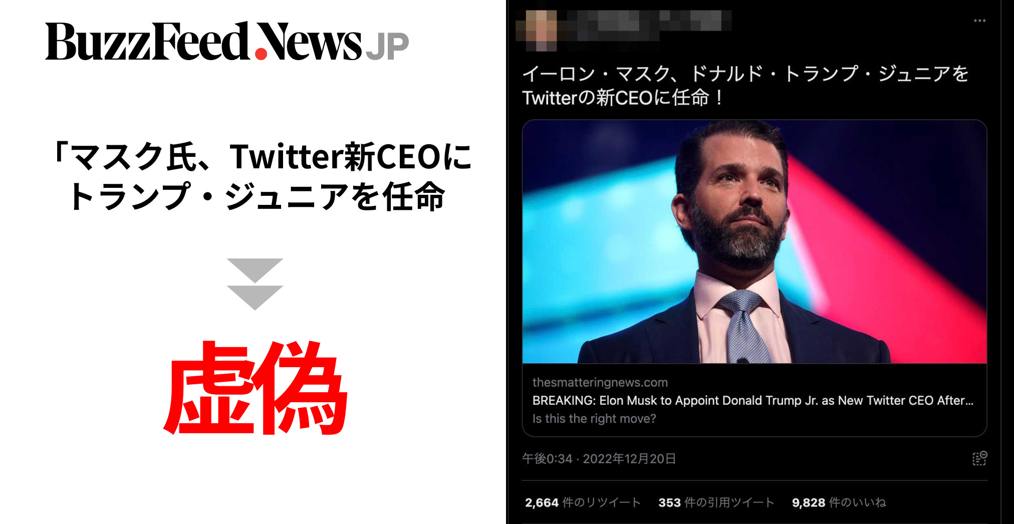 イーロン・マスク氏、トランプ氏の長男をツイッター新CEOに任命」辞任めぐり日米でフェイクニュースが大拡散