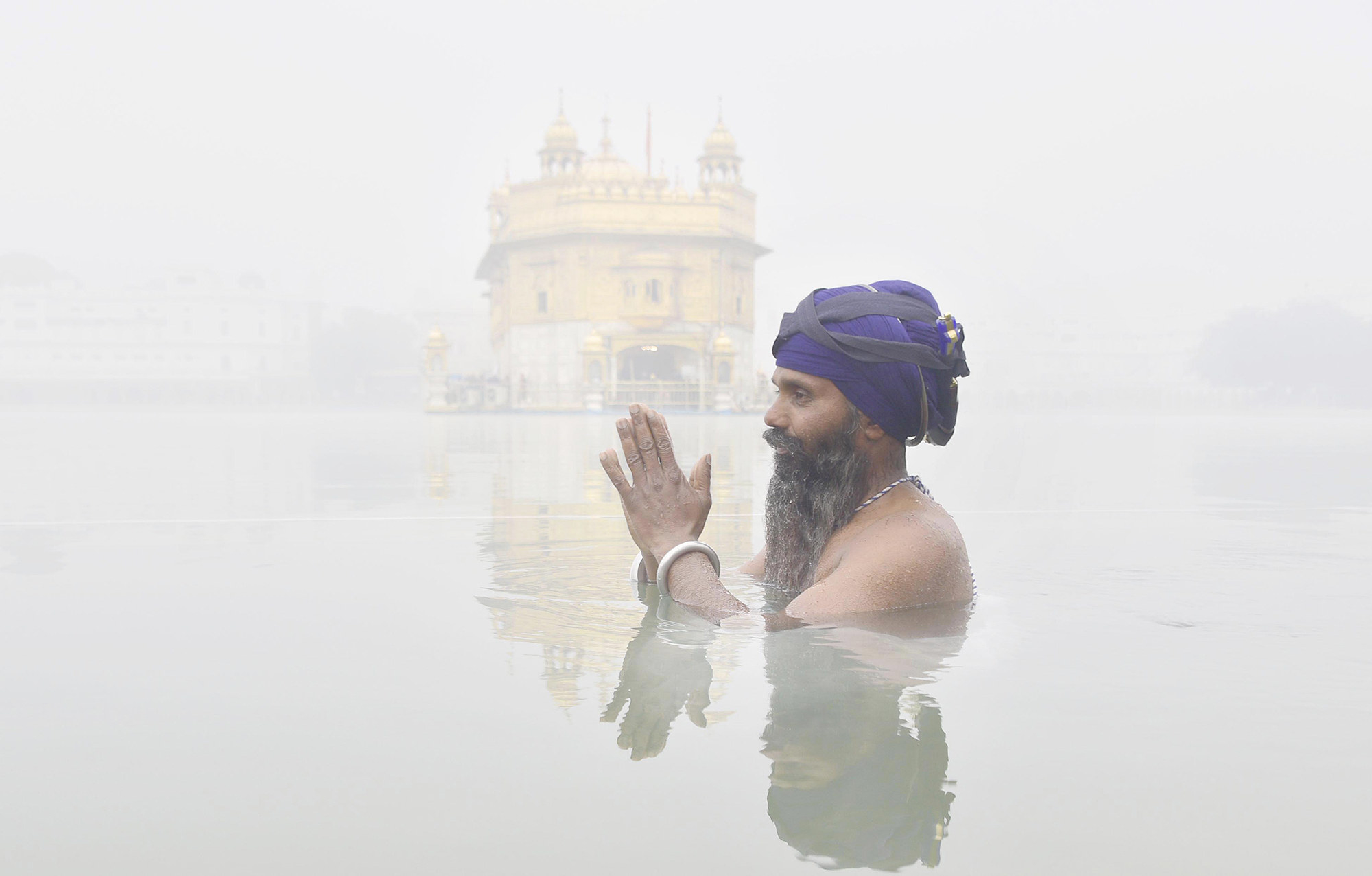 A person with a purple turban stands in chest-deep water in front of the Golden Temple