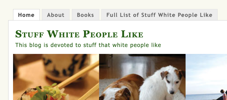 &quot;Stuff White People Like&quot;