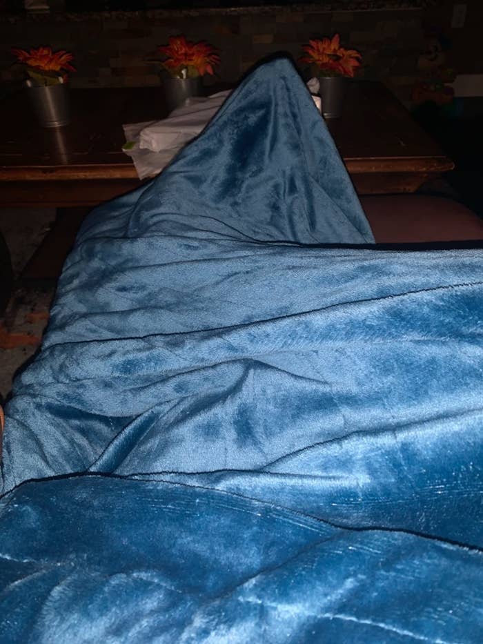 Reviewer snuggled up in the blue blanket