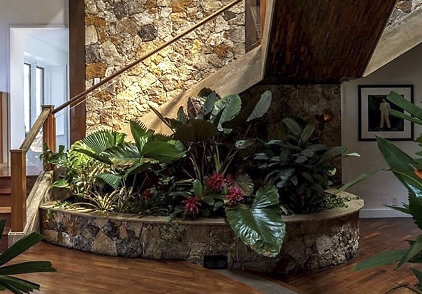 Close-up of plants underneath the staircase