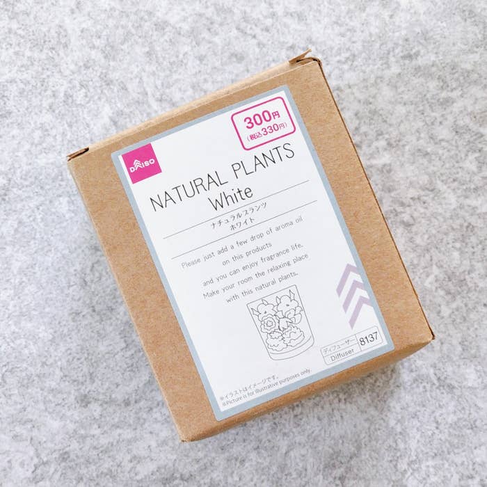 DAISO(ダイソー)のオススメインテリア「ナチュラルプランツ ホワイト」