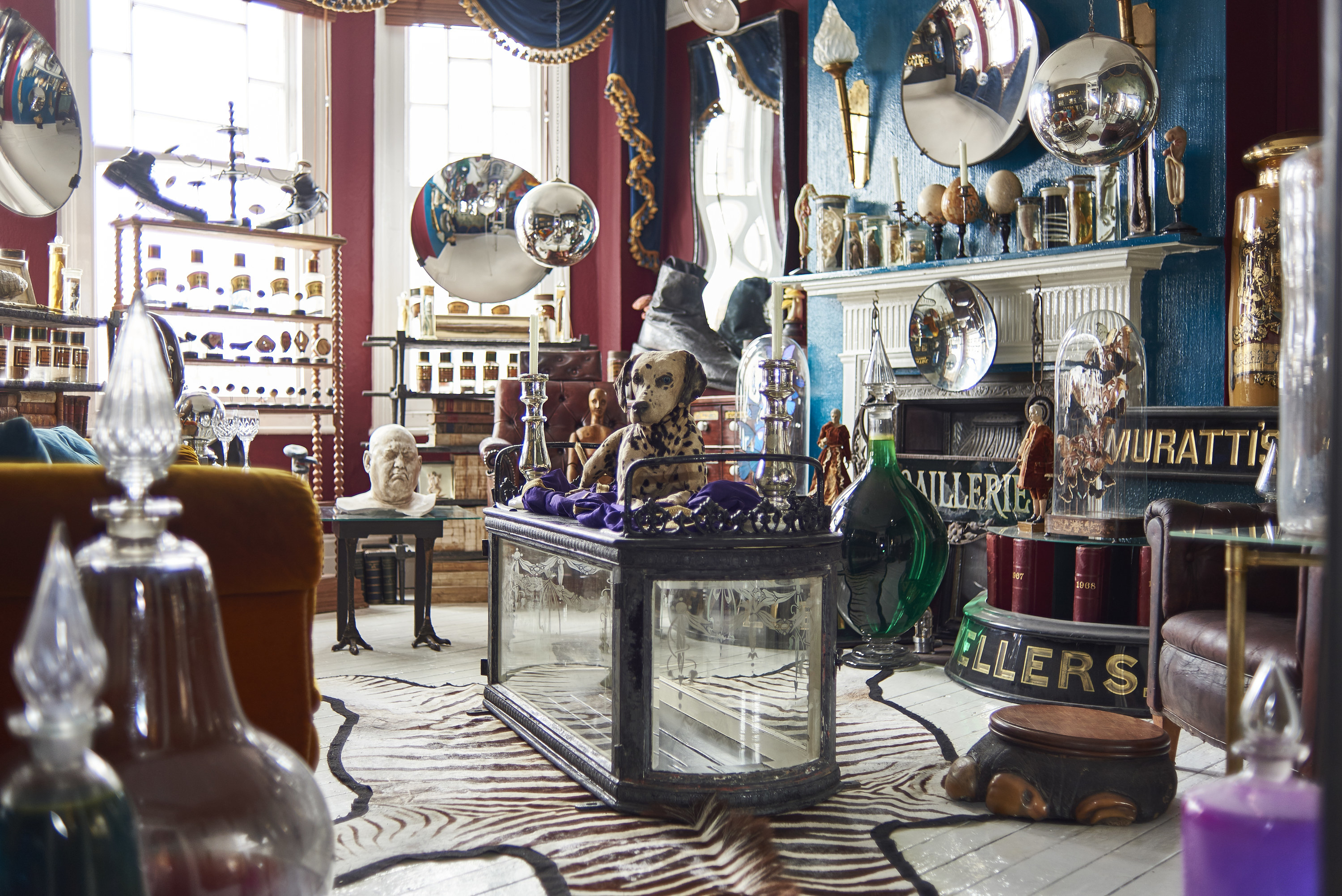 an antique dealer&#x27;s living room filled with a child&#x27;s glass coffin carrier, an elephants foot foot stool, a taxidermy dalmatian, a giant leather shoe, decorated ostrich eggs, a plaster death mask, and carboy&#x27;s filled with coloured liquids