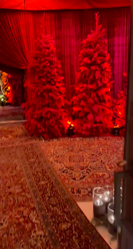 Red trees and colorful rugs
