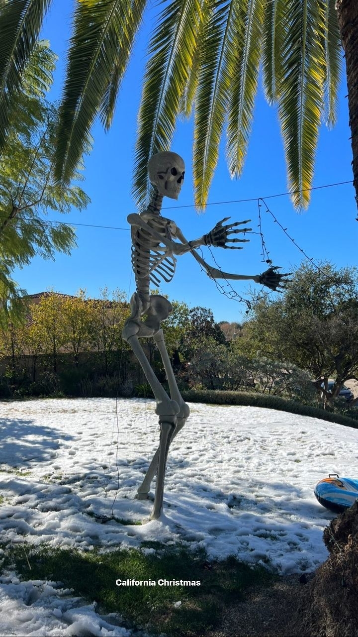 A skeleton hanging from a palm tree with snow on the ground