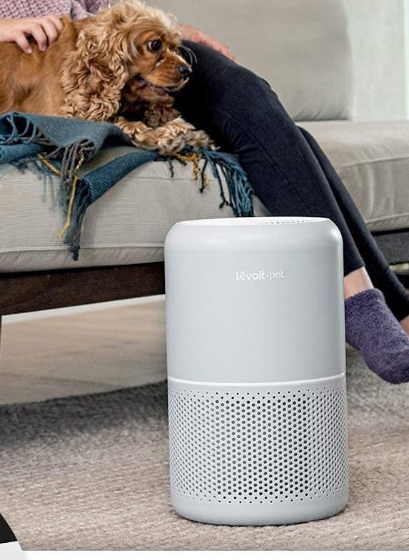 the large air purifier next to a sofa