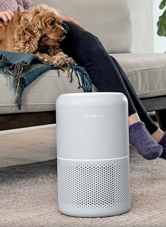 the large air purifier next to a sofa