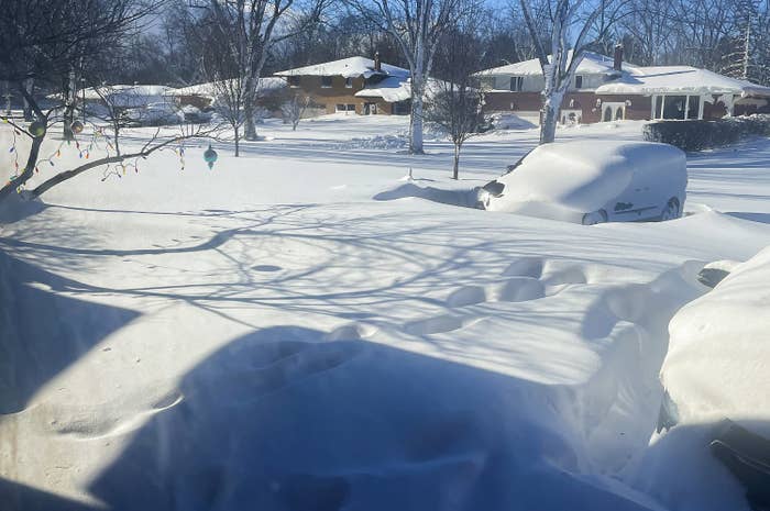 Houses covered in snow.