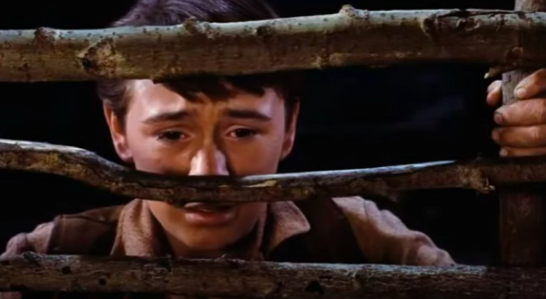 A young boy sobs through a wooden gate