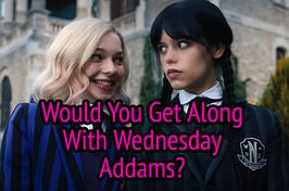 This quiz is to see if you could hang out with Wednesday.