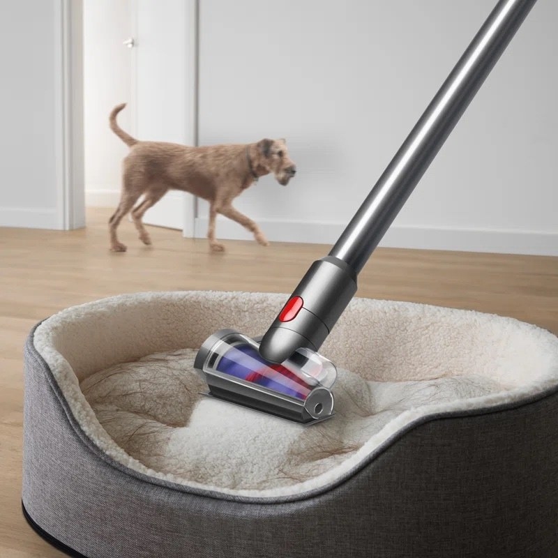 A model using a vacuum in a pet bed