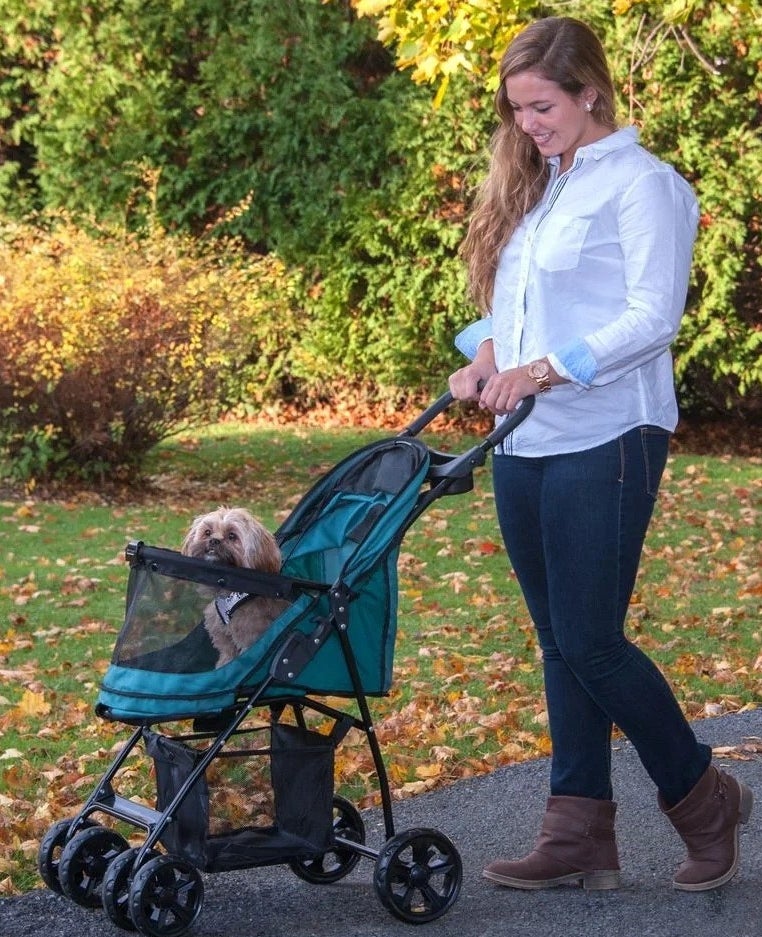 Person pushing a dog in a pine green pet stroller