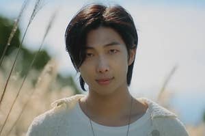 Close-up of RM looking into the camera as he stands in a field of wildflowers in the Wild Flower music video