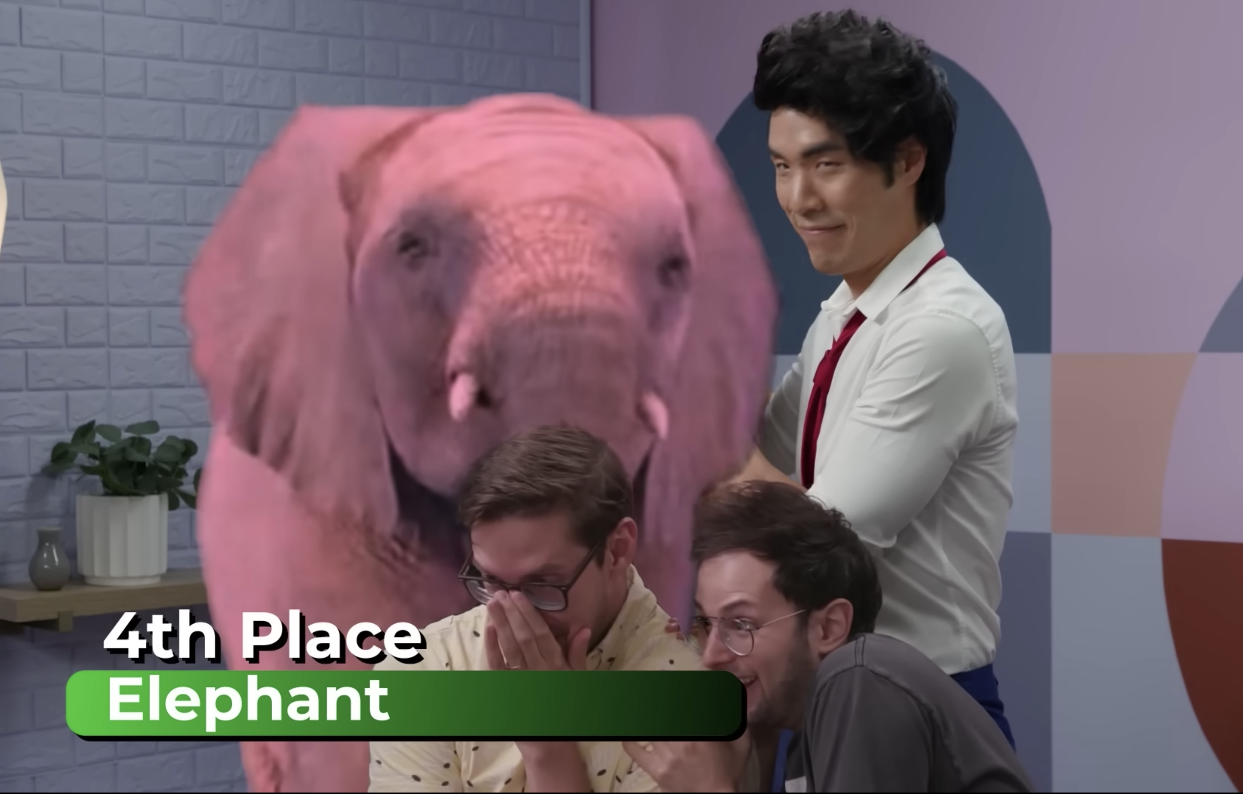 4th Place: Elephant