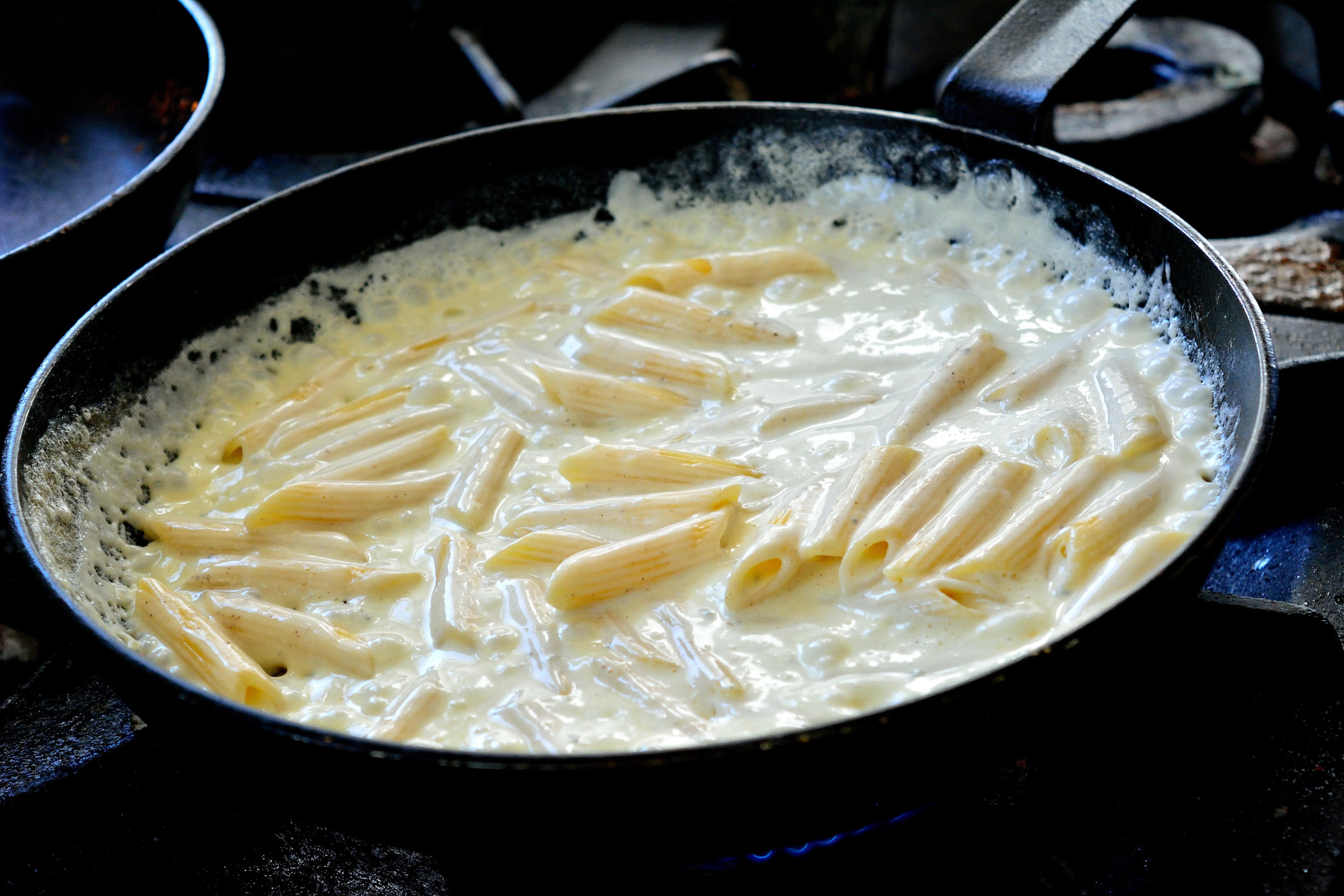 Penne in cheese sauce.