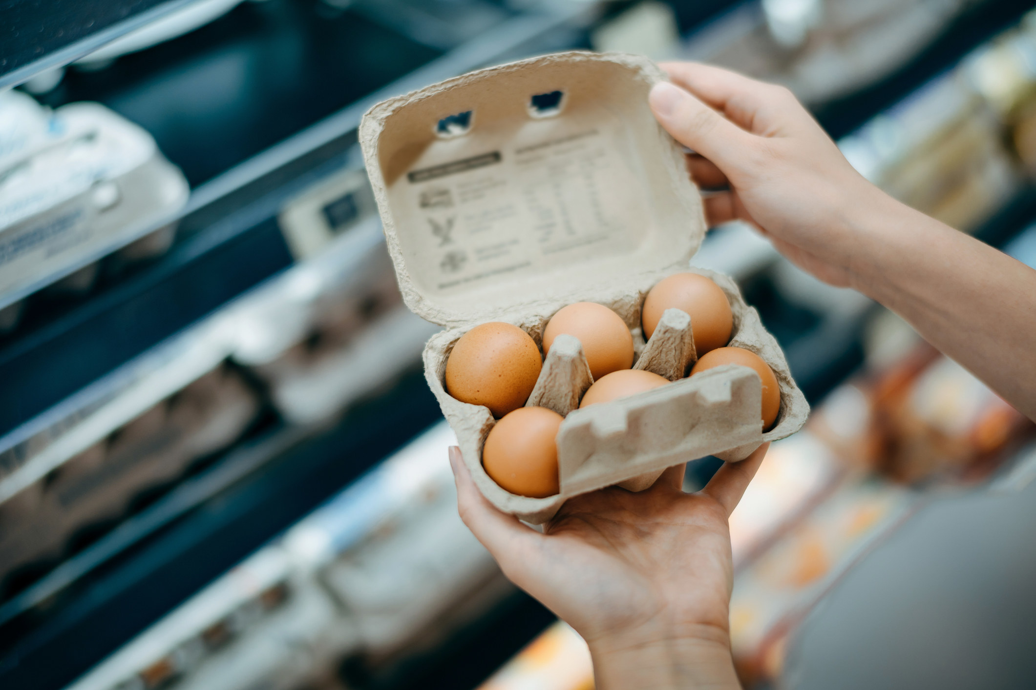 Six eggs in carton