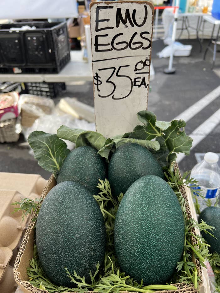 Emu eggs (looking like very large avocados) with a sign $35 each