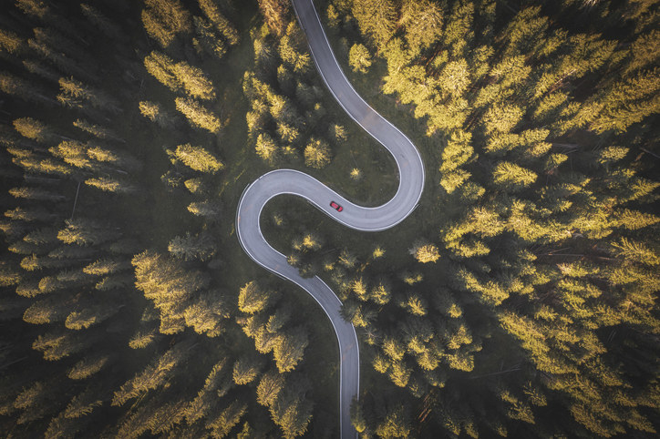 Aerial view of a car driving in a forest