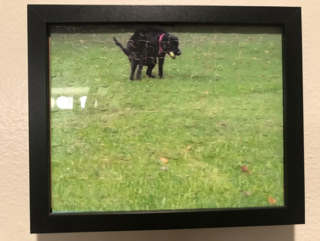 framed puzzle of a dog pooping