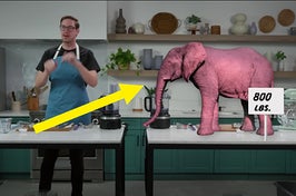 The Try Guys addressed the <i>elephant in the room</i> by replacing Ned Fulmer's body with an animated pink elephant and more.