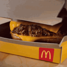 A McDonald&#x27;s cheeseburger