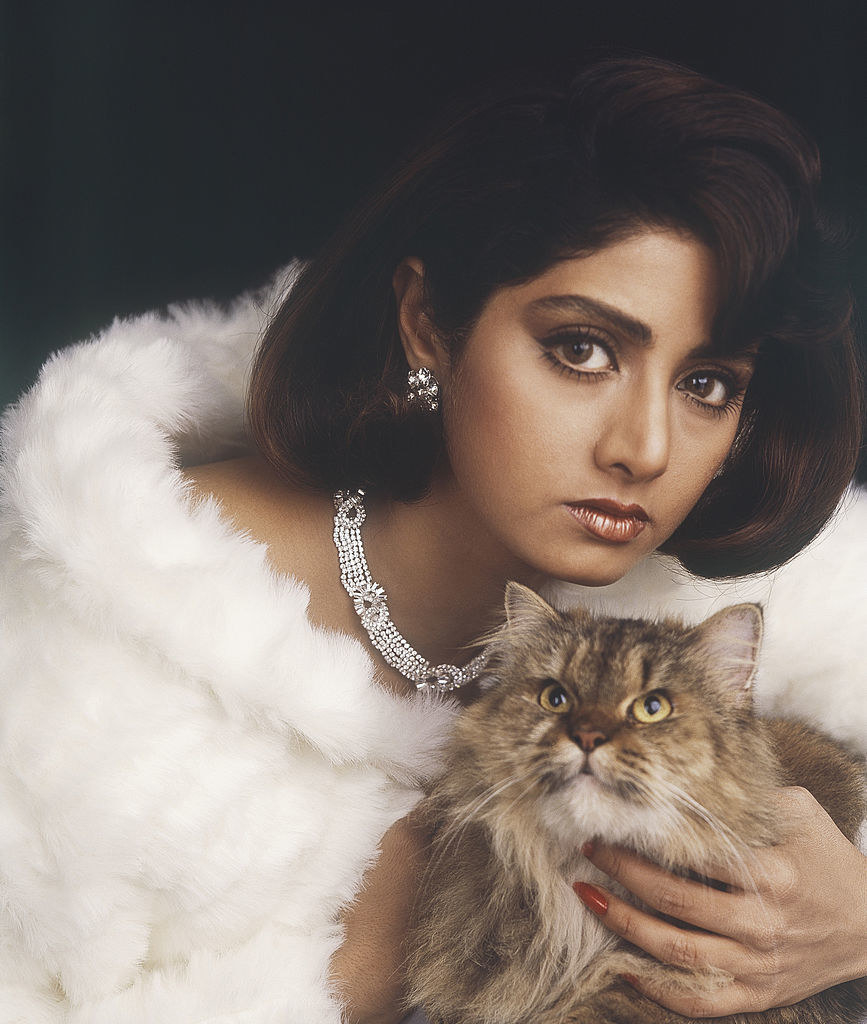 Portrait of Indian film actress Sridevi holding a cat