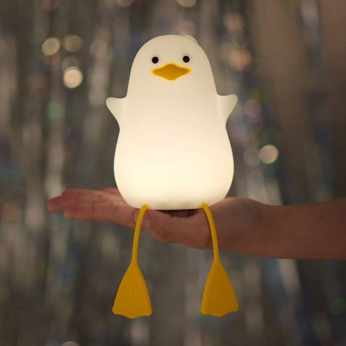 a person holding a bird shaped night light