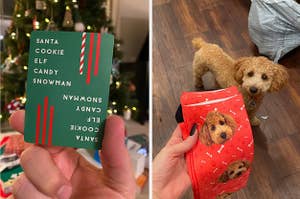 评论家的绿色扑克牌，上面写着“圣诞老人小精灵糖果雪人”和一位带有狗脸上的红色袜子的评论者，背景中的狗