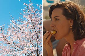 On the left, a cherry blossom tree, and on the right, Aubrey Plaza eating a piece of pineapple as Harper on The White Lotus
