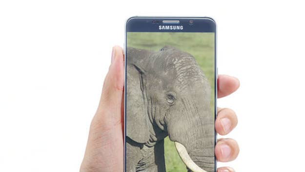 The new commercial from 2015/2016 features the Samsung Galaxy Note5, a Samsung Galaxy S6 Edge+, and an elephant.
